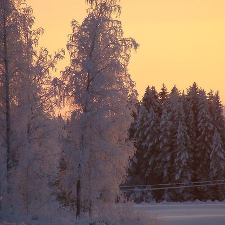 Villa Tiirinkallio Nilsiä Quarto foto
