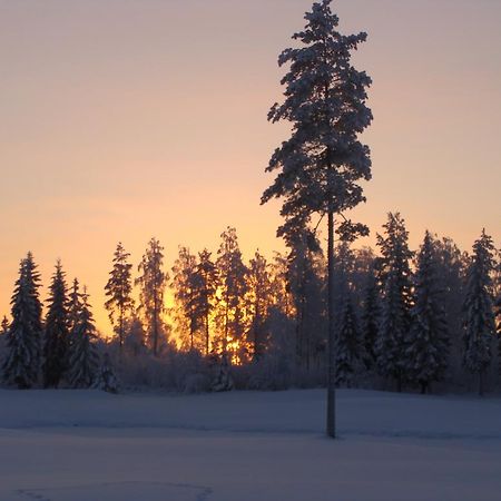 Villa Tiirinkallio Nilsiä Quarto foto