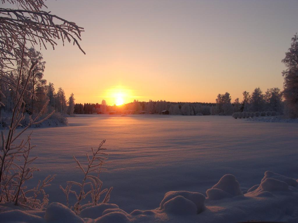 Villa Tiirinkallio Nilsiä Quarto foto