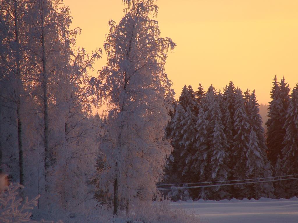 Villa Tiirinkallio Nilsiä Quarto foto
