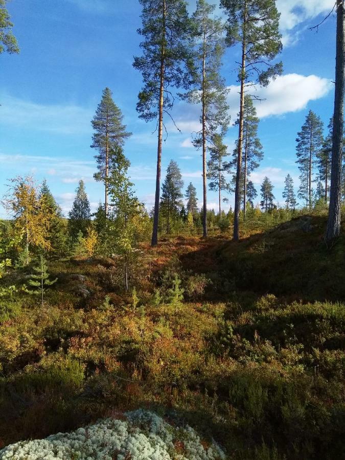 Villa Tiirinkallio Nilsiä Exterior foto